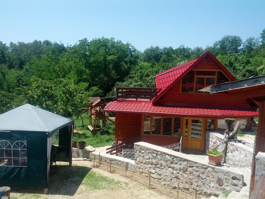 Pensiunea Magdalena Câmpulung Buitenkant foto
